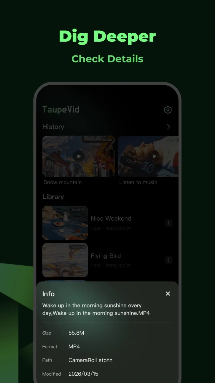 Video file details