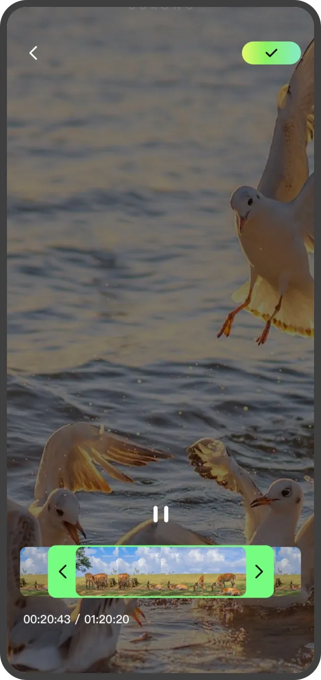 TaupeVid playback screen